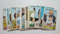 1967 Topps baseball cards, 33 card lot